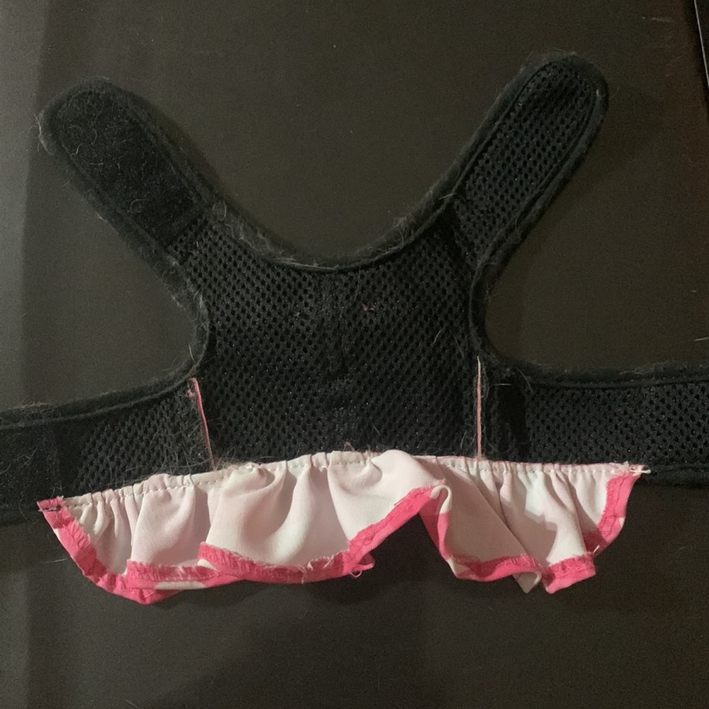 Cute outfit - Picture 3 of 5